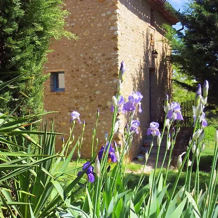 Holiday home Holiday Raffinis