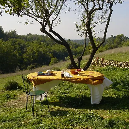 Holiday Raffinis Holiday home *