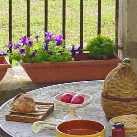Holiday Raffinis Casa vacanze Allemagne-en-Provence